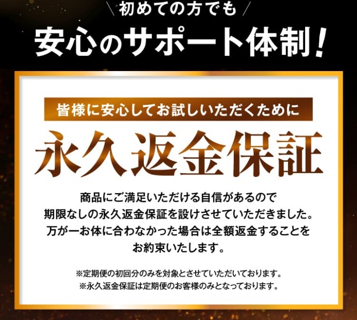 23zi公式サイトの永久返金保証