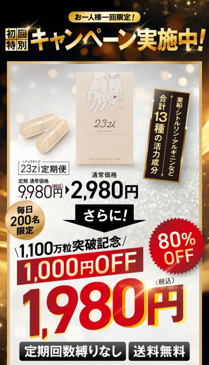 23ziの公式サイトでの価格